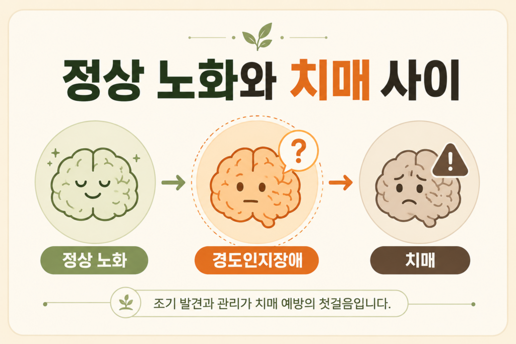 정상 노화와 경도인지장애, 치매의 단계를 보여주는 카드뉴스 이미지