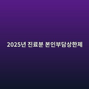 2025년 진료분 본인부담상한제 2026년 8월 말부터 지급, 상한액 89만원~826만원 최신 정리 2 2025eb8584 eca784eba38cebb684 ebb3b8ec9db8ebb680eb8bb4ec8381ed959ceca09c 1787979411