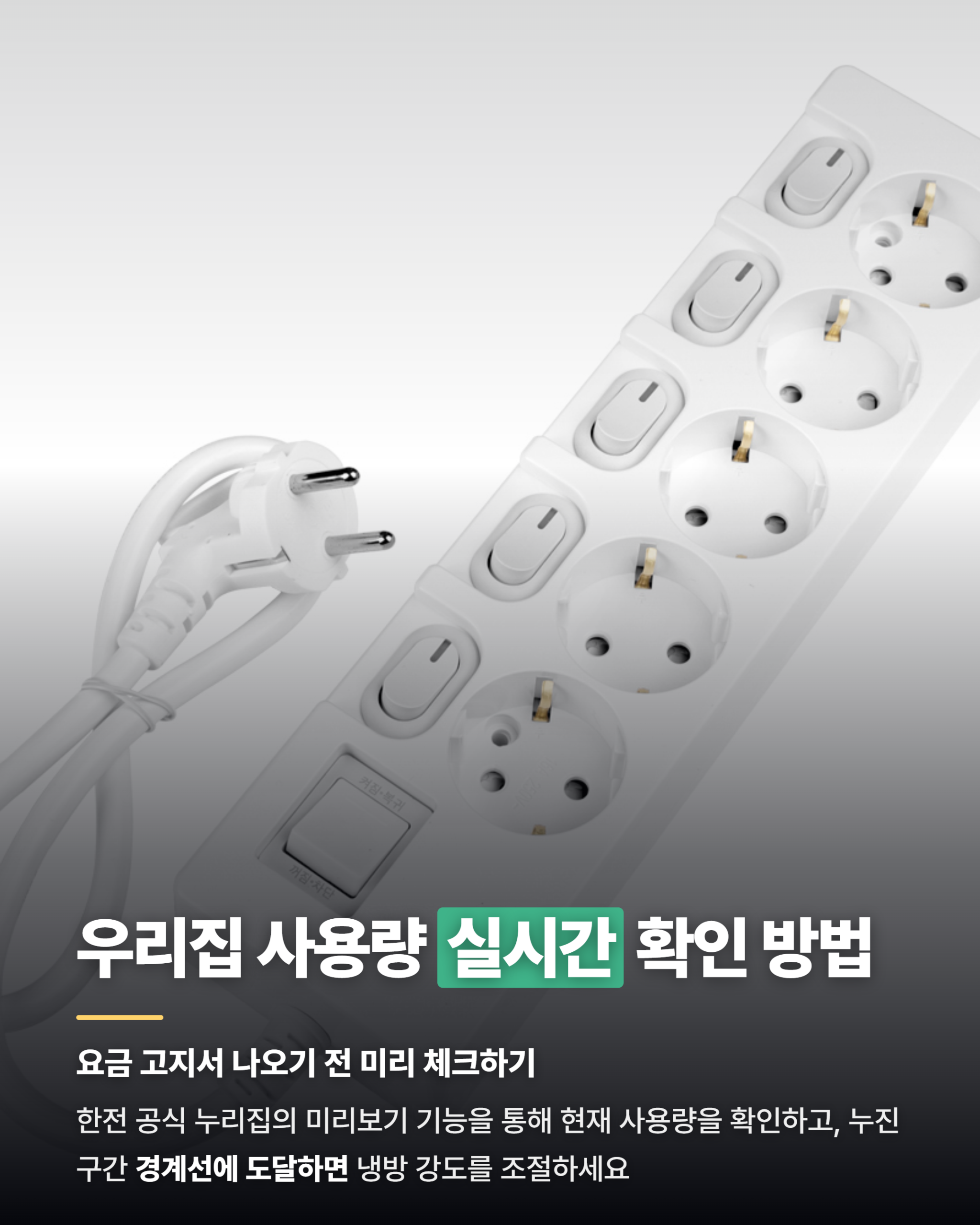 카드뉴스