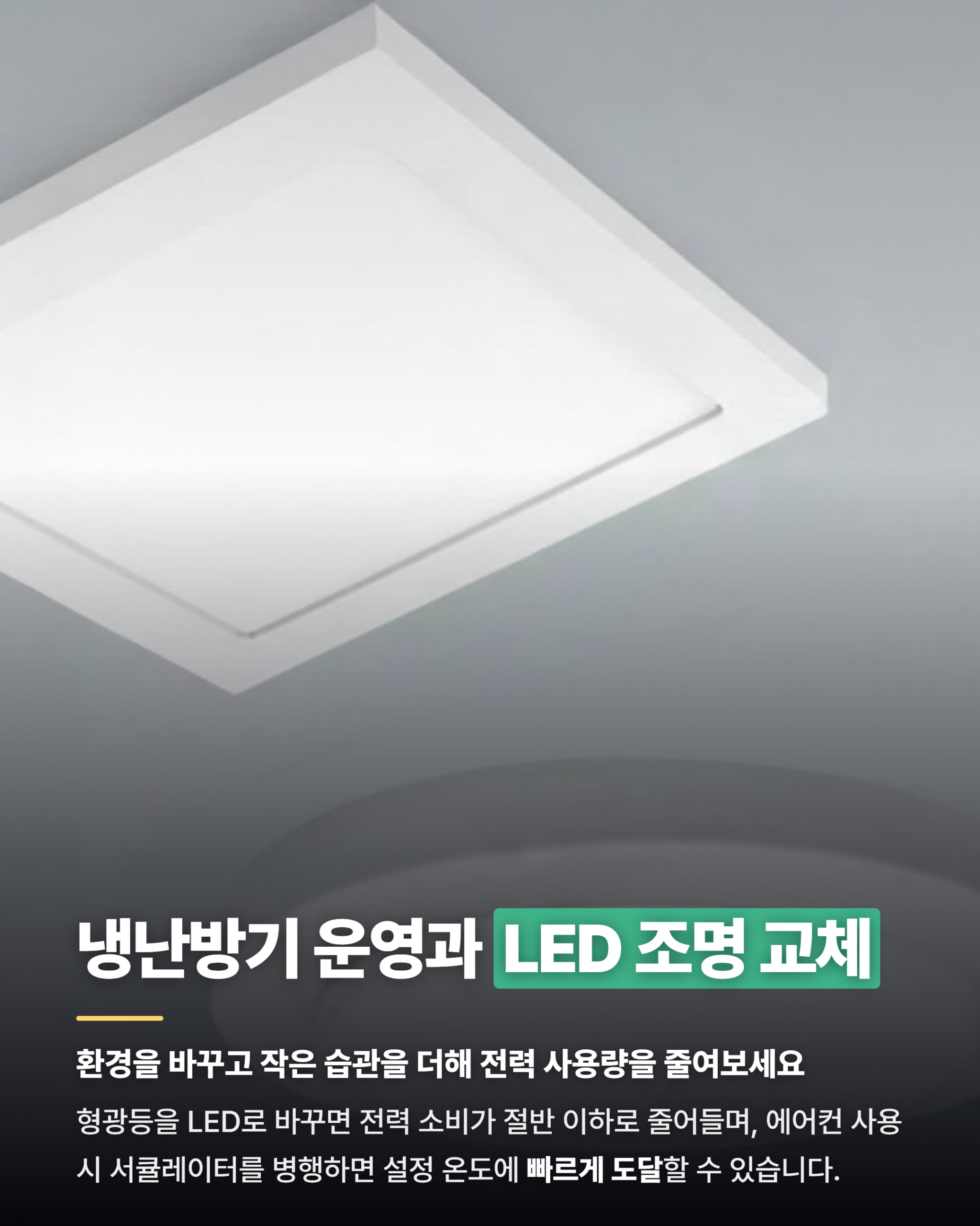 카드뉴스
