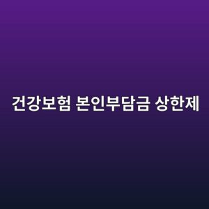 건강보험 본인부담금 상한제, 내가 낸 병원비 돌려받는 법 (2026년 기준) 5 eab1b4eab095ebb3b4ed9798 ebb3b8ec9db8ebb680eb8bb4eab888 ec8381ed959ceca09c 1787970348
