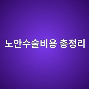 노안수술비용 총정리 – 종류별 가격대와 보험 적용 여부까지 6 eb85b8ec9588ec8898ec88a0ebb984ec9aa9 ecb49deca095eba6ac 1787195428