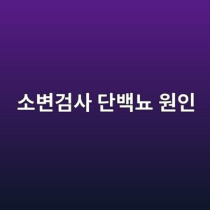 소변검사 단백뇨 원인, 거품뇨 방치하면 위험한 이유 11 ec868cebb380eab280ec82ac eb8ba8ebb0b1eb87a8 ec9b90ec9db8 1787266716