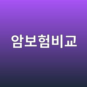 암보험비교, 가입 전 꼭 봐야 할 5가지 기준 7 ec9594ebb3b4ed9798ebb984eab590 1787836674