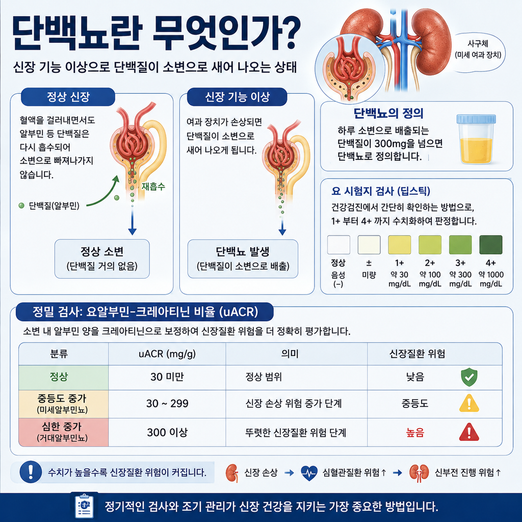 단백뇨란 무엇인가