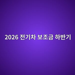 2026 전기차 보조금 하반기, 지방비 소진돼도 국비만 받는 특례가 열립니다 6 2026 eca084eab8b0ecb0a8 ebb3b4eca1b0eab888 ed9598ebb098eab8b0 1788653894