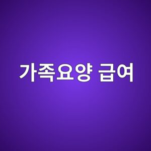 가족요양 급여, 현금으로 받을까 방문요양으로 받을까 4 eab080eca1b1ec9a94ec9691 eab889ec97ac 1789266388
