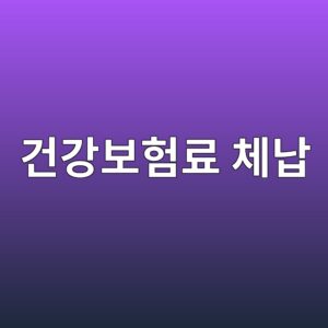 건강보험료 체납, 병원 이용에 정말 불이익이 있을까 3 eab1b4eab095ebb3b4ed9798eba38c ecb2b4eb82a9 1789175580