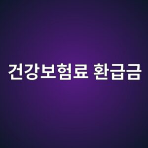 건강보험료 환급금, 내가 더 낸 보험료 돌려받는 법 8 eab1b4eab095ebb3b4ed9798eba38c ed9998eab889eab888 1789266061
