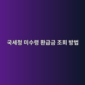 국세청 미수령 환급금 조회 방법, 5년 안에 안 찾으면 사라집니다 4 eab5adec84b8ecb2ad ebafb8ec8898eba0b9 ed9998eab889eab888 eca1b0ed9a8c ebb0a9ebb295 1788322373