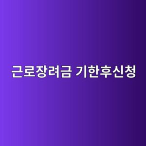 근로장려금 기한후신청, 정기신청 놓쳤어도 12월 1일까지는 받을 수 있어요 10 eab7bceba19cec9ea5eba0a4eab888 eab8b0ed959ced9b84ec8ba0ecb2ad 1789465682