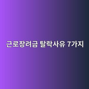 근로장려금 탈락사유 7가지, 신청 전 반드시 확인하세요 4 eab7bceba19cec9ea5eba0a4eab888 ed8388eb9dbdec82acec9ca0 7eab080eca780 1789265212