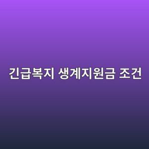 긴급복지 생계지원금 조건, 위기사유와 소득기준 정리 9 eab8b4eab889ebb3b5eca780 ec839deab384eca780ec9b90eab888 eca1b0eab1b4 1788793642