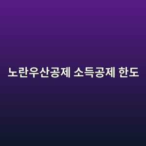 노란우산공제 소득공제 한도 600만원, 가입 전 확인할 것들 12 eb85b8eb9e80ec9ab0ec82b0eab3b5eca09c ec868ceb939deab3b5eca09c ed959ceb8f84 1789998191
