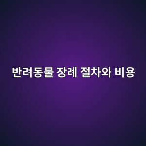 ebb098eba0a4eb8f99ebacbc ec9ea5eba180 eca088ecb0a8ec9980 ebb984ec9aa9 1790048937