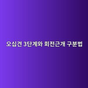 오십견 3단계와 회전근개 구분법, 3개월이 갈림길입니다 6 ec98a4ec8badeab2ac 3eb8ba8eab384ec9980 ed9a8ceca084eab7bceab09c eab5acebb684ebb295 1789998072