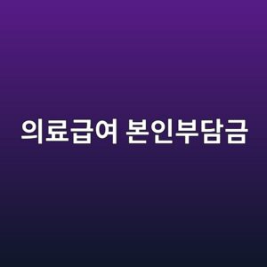 의료급여 본인부담금, 1종·2종 얼마 내는지 한 번에 정리 12 ec9d98eba38ceab889ec97ac ebb3b8ec9db8ebb680eb8bb4eab888 1789141089