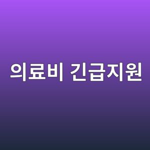 의료비 긴급지원, 다른 지원과 중복으로 받을 수 있을까 1 ec9d98eba38cebb984 eab8b4eab889eca780ec9b90 1789175685