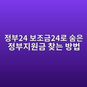 정부24 보조금24로 숨은 정부지원금 찾는 방법, 나도 모르게 놓친 혜택 확인하기 2 eca095ebb68024 ebb3b4eca1b0eab88824eba19c ec88a8ec9d80 eca095ebb680eca780ec9b90eab888 ecb0beeb8a94 ebb0a9ebb295 1788323756