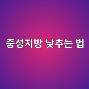 eca491ec84b1eca780ebb0a9 eb82aeecb694eb8a94 ebb295 1788526756