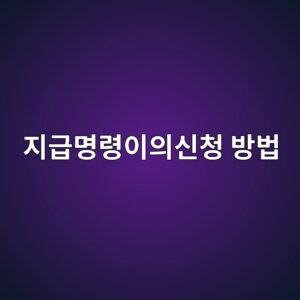 지급명령이의신청 방법, 기간 놓치면 그대로 확정됩니다 3 eca780eab889ebaa85eba0b9ec9db4ec9d98ec8ba0ecb2ad ebb0a9ebb295 1788234215