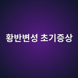 ed99a9ebb098ebb380ec84b1 ecb488eab8b0eca69dec8381 1788324108