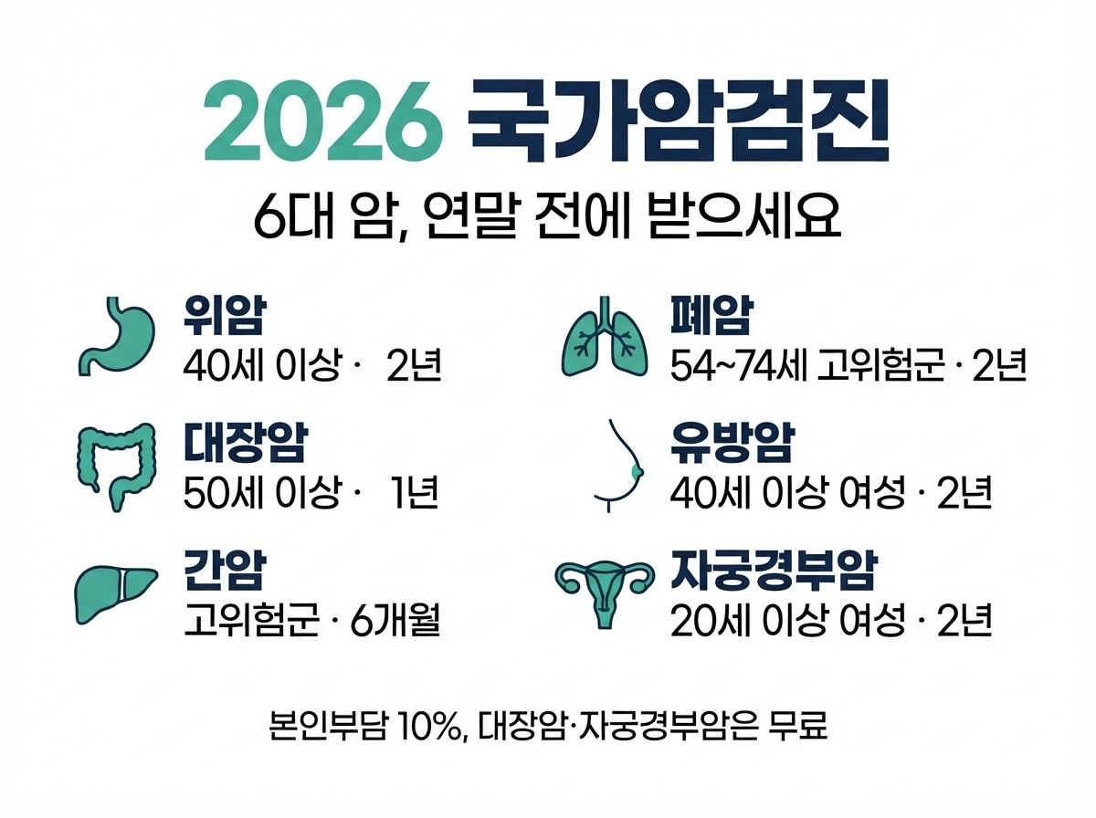 국가암검진 위내시경 대상 비용, 12월 넘기면 2년 기다립니다 1 2026 국가암검진 6대암 대상과 주기 카드뉴스 - 위암 40세 이상 2년, 대장암 50세 이상 1년, 간암 고위험군 6개월, 폐암 54~74세 고위험군 2년, 유방암 40세 이상 여성 2년, 자궁경부암 20세 이상 여성 2년