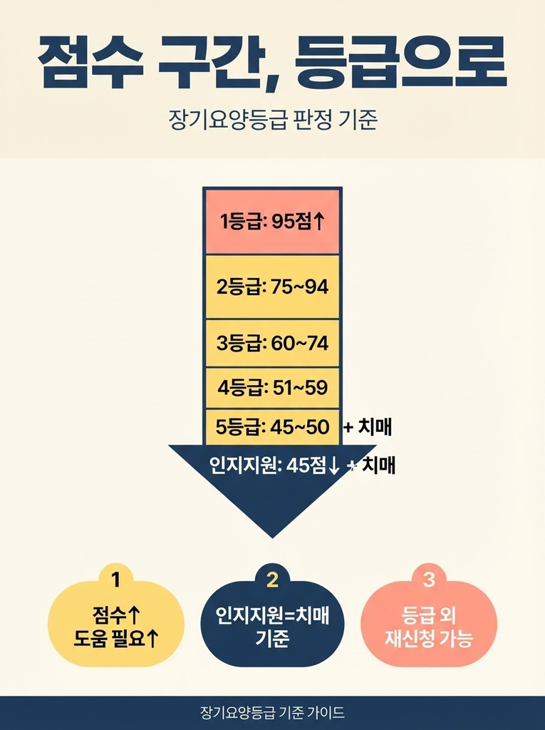 장기요양등급 판정기준, 1~5등급과 인지지원등급 점수 정리 1 장기요양등급은 인정점수 구간에 따라 1등급(95점 이상)부터 4등급(51점 이상)까지 나뉘고, 5등급과 인지지원등급은 치매 환자에 한해 45점 전후로 부여되며 점수가 높을수록 도움이 더 필요한 상태이고 등급 외 판정 시 상태 악화 후 재신청이 가능하다는 점을 정리한 안내 인포그래픽