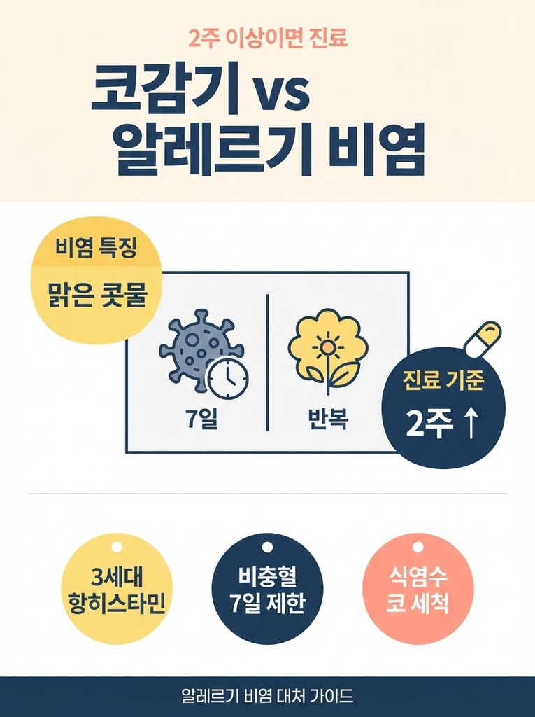 알레르기 비염은 맑은 콧물과 재채기가 2주 이상 반복되며 코감기와 달리 만성적으로 나타나는 질환으로, 3세대 항히스타민제로 졸음 없이 치료하고 비충혈제거제는 7일 이내 사용해야 하며 증상 지속 시 원인을 확인해 면역치료까지 고려할 필요가 있다는 점을 정리한 안내 인포그래픽