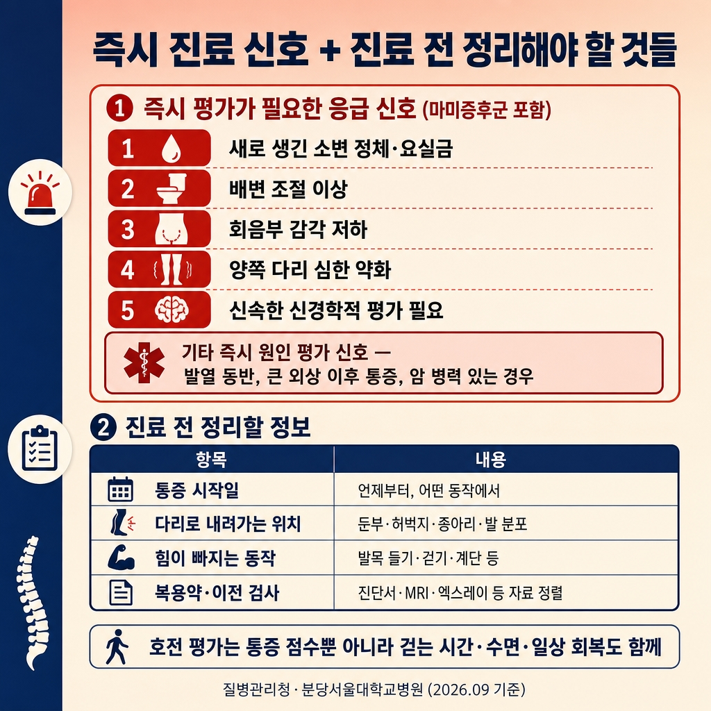허리디스크 증상과 치료: 다리 저림·MRI·수술이 필요한 경우 3 소프트피치에서 크림으로 이어지는 상하 그라디언트 배경, 좌측 네이비 세로 띠. 상단 굵은 한글 제목 ‘즉시 진료 신호 + 진료 전 정리해야 할 것들’. 상단 섹션 라벨 ‘① 즉시 평가가 필요한 응급 신호 (마미증후군 포함)’ 빨간 테두리 강조 박스 안에 5개 적색 태그 글머리 ‘새로 생긴 소변 정체·요실금’, ‘배변 조절 이상’, ‘회음부 감각 저하’, ‘양쪽 다리 심한 약화’, ‘신속한 신경학적 평가 필요’. 아래 진한 빨간 테두리 보조 박스 ‘기타 즉시 원인 평가 신호 — 발열 동반 · 큰 외상 이후 통증 · 암 병력 있는 경우’. 하단 섹션 라벨 ‘② 진료 전 정리할 정보’ 4행 체크리스트 표 2열, 컬럼 헤더 ‘항목 | 내용’. 1행 ‘통증 시작일 | 언제부터, 어떤 동작에서’. 2행 ‘다리로 내려가는 위치 | 둔부·허벅지·종아리·발 분포’. 3행 ‘힘이 빠지는 동작 | 발목 들기·걷기·계단 등’. 4행 ‘복용약·이전 검사 | 진단서·MRI·엑스레이 등 자료 정렬’. 하단 안내문 ‘호전 평가는 통증 점수뿐 아니라 걷는 시간·수면·일상 회복도 함께’. 하단 우측 푸터 ‘질병관리청·분당서울대학교병원 (2026.09 기준)’. 워터마크 없음, 1:1 1024×1024.