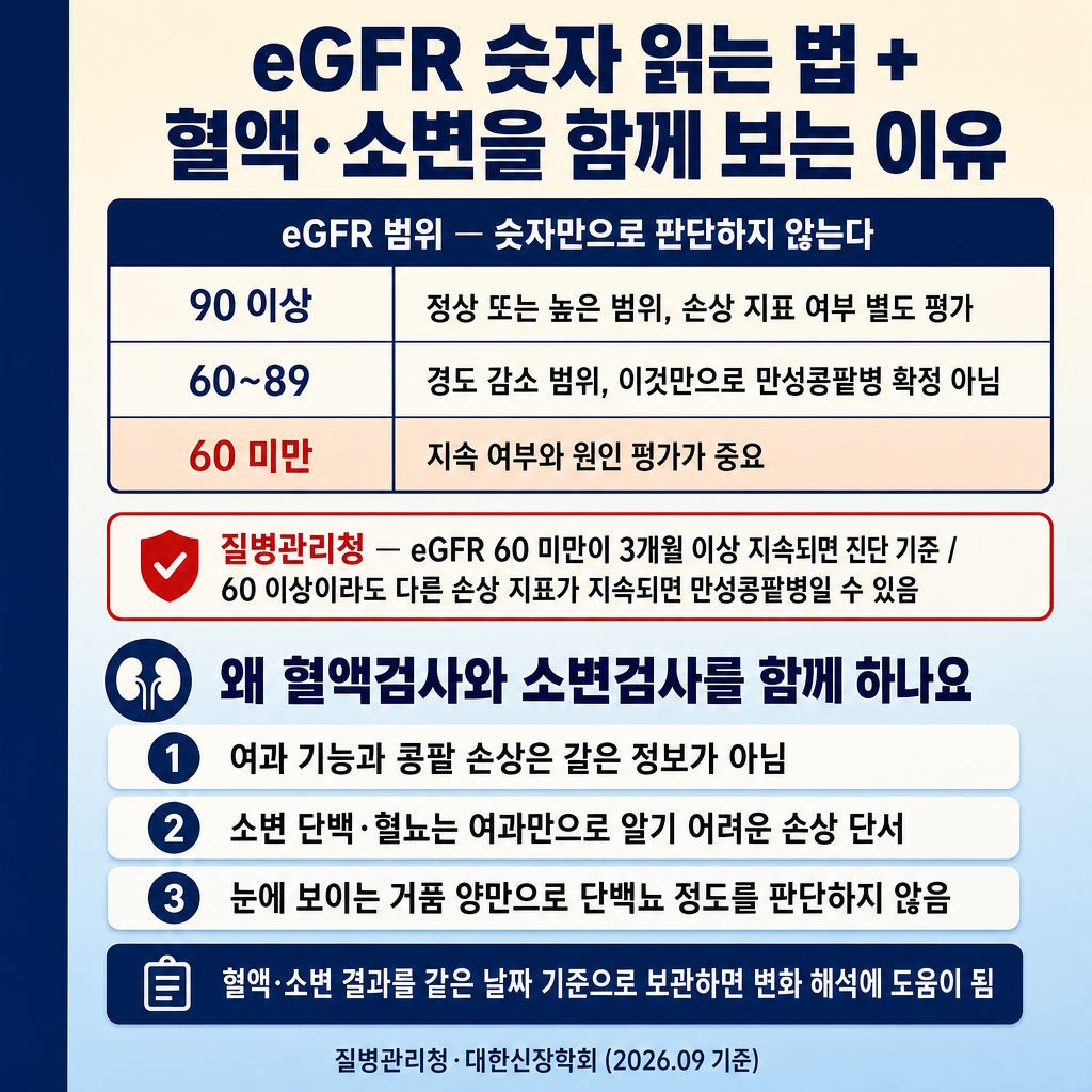 [카드2] kidney_card2_reading_combined.jpg
URL: https://www.genspark.ai/api/files/s/cLcG7u1O?cache_control=3600
alt=
신장기능검사 카드뉴스 2장. 1024x1024, 크림→소프트스카이블루 그라디언트 배경, 좌측 네이비 액센트 스트라이프(폭 약 8%). 굵은 한글 타이틀 ‘eGFR 숫자 읽는 법 + 혈액·소변을 함께 보는 이유’. 본문 ‘eGFR 범위 — 숫자만으로 판단하지 않는다’ 3행 표(90 이상 = 정상 또는 높은 범위, 손상 지표 여부 별도 평가 / 60~89 = 경도 감소 범위, 이것만으로 만성콩팥병 확정 아님 / 60 미만 = 지속 여부와 원인 평가가 중요), ‘60 미만’ 행은 소프트피치 배경으로 강조. 빨간 테두리 칩 ‘질병관리청 — eGFR 60 미만이 3개월 이상 지속되면 진단 기준 / 60 이상이라도 다른 손상 지표가 지속되면 만성콩팥병일 수 있음’. 하단 ‘왜 혈액검사와 소변검사를 함께 하나요’ 3개 칩(여과 기능과 콩팥 손상은 같은 정보가 아님 / 소변 단백·혈뇨는 여과만으로 알기 어려운 손상 단서 / 눈에 보이는 거품 양만으로 단백뇨 정도를 판단하지 않음). 보조칩 ‘혈액·소변 결과를 같은 날짜 기준으로 보관하면 변화 해석에 도움이 됨’. 푸터 ‘질병관리청·대한신장학회 (2026.09 기준)’. 워터마크 없음.
