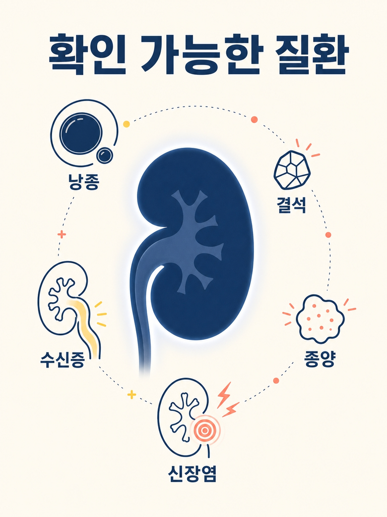 신장초음파 비용과 검사로 확인할 수 있는 질환 총정리 1 신장초음파로 확인할 수 있는 신장 질환 정리