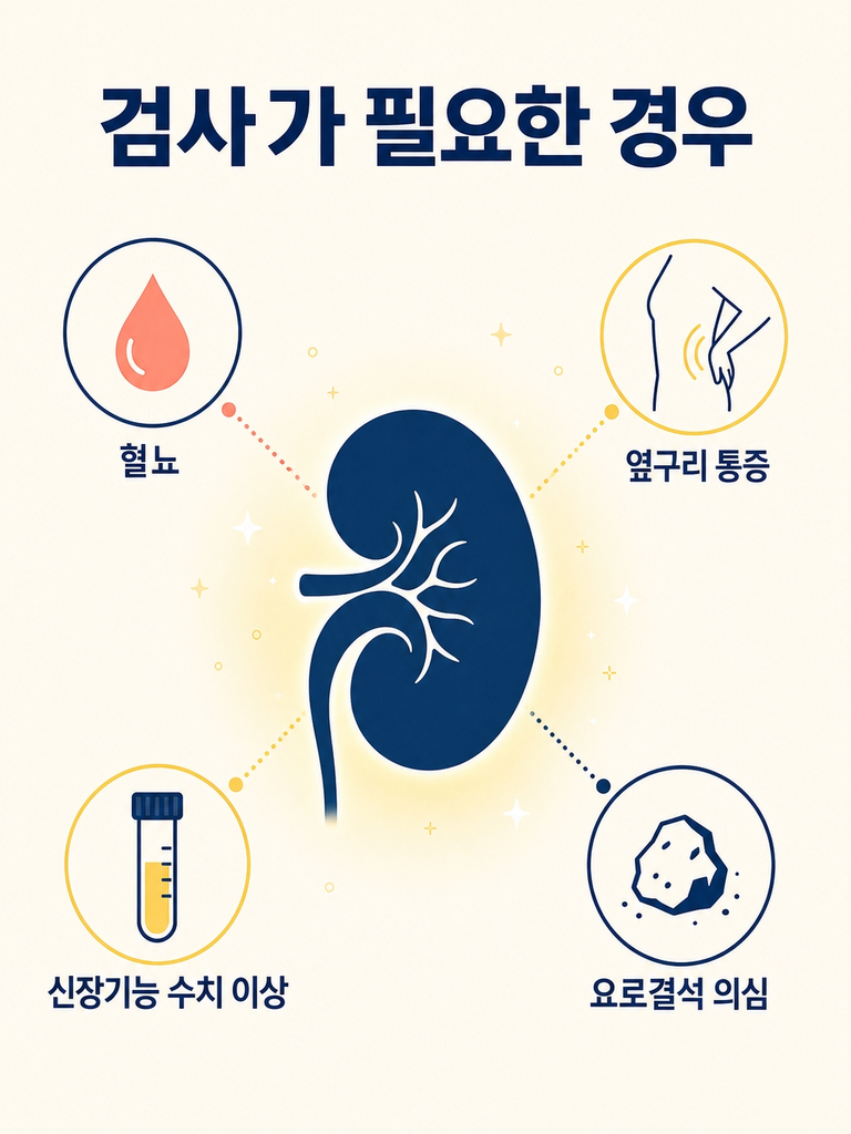 신장초음파 비용과 검사로 확인할 수 있는 질환 총정리 5 신장초음파가 필요한 상황과 증상 정리