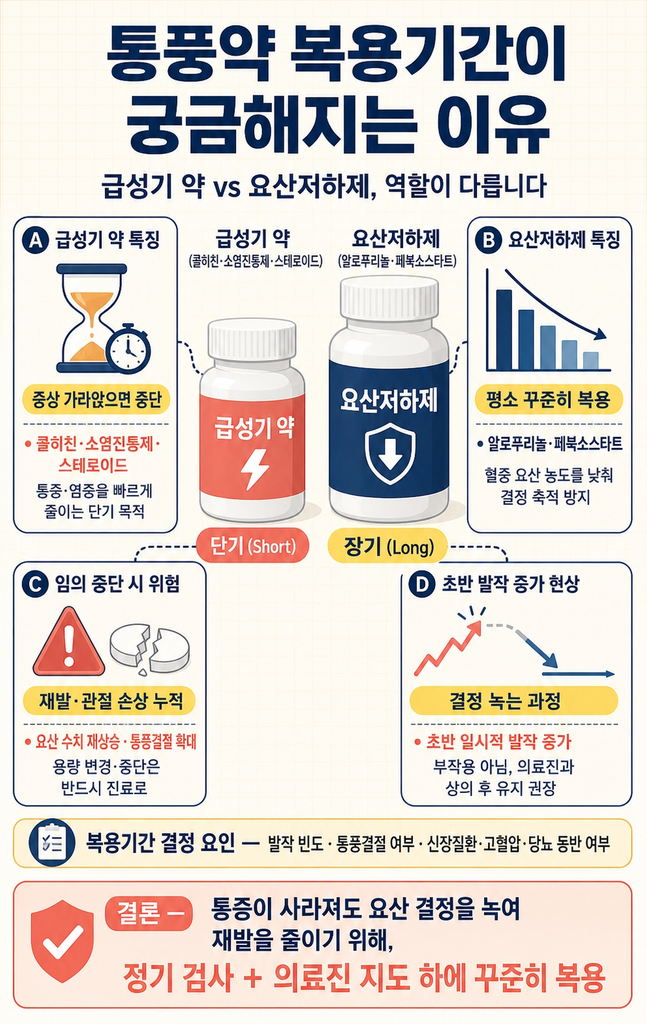 통풍약 복용기간, 언제까지 먹어야 할까? 요산저하제 복용 원칙 1 통풍 치료에 쓰이는 급성기 약과 요산저하제의 역할 차이, 요산저하제가 꾸준히 장기간 복용되어야 하는 이유, 복용기간을 결정하는 동반질환·결절·발작 빈도 등의 요인, 임의 중단 시 재발과 관절 손상 위험, 그리고 초반에 발작이 일시적으로 늘어날 수 있는 결정 용해 현상까지 정리한 안내