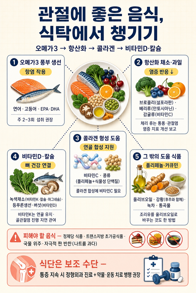 관절에 좋은 음식, 염증을 줄이는 식단 구성법 1 관절 건강을 위해 식탁에서 챙길 수 있는 식품군과 그 작용 — 연어·고등어 같은 등푸른 생선의 오메가3 EPA·DHA가 염증 물질 생성을 억제해 관절 부기·통증 완화에 도움이 되고 일주일에 두세 차례 식단에 포함하는 것이 권장된다는 점, 브로콜리의 설포라판이 연골 분해 효소를 억제하고 블루베리·딸기·체리 같은 베리류의 안토시아닌과 감귤류의 비타민C가 항염·콜라겐 합성을 돕는다는 점, 콜라겐 합성에 필요한 비타민C와 폴리페놀과 식물성 단백질을 함께 갖춘 콩류가 연골·근육 유지에 도움이 된다는 점, 케일·시금치 같은 녹색 채소의 비타민K·칼슘·마그네슘과 등푸른 생선·버섯의 비타민D가 뼈 건강을 뒷받침한다는 점, 올리브오일의 폴리페놀·강황의 커큐민(후추와 함께)·녹차·통곡물의 항염 효과, 정제당·트랜스지방 초가공식품·과다 나트륨 식품은 피해야 한다는 점, 그리고 식단 관리만으로 진행된 관절염을 치료할 수는 없으므로 통증 지속 시 정형외과 진료와 약물·운동 치료를 병행해야 한다는 점을 정리한 안내