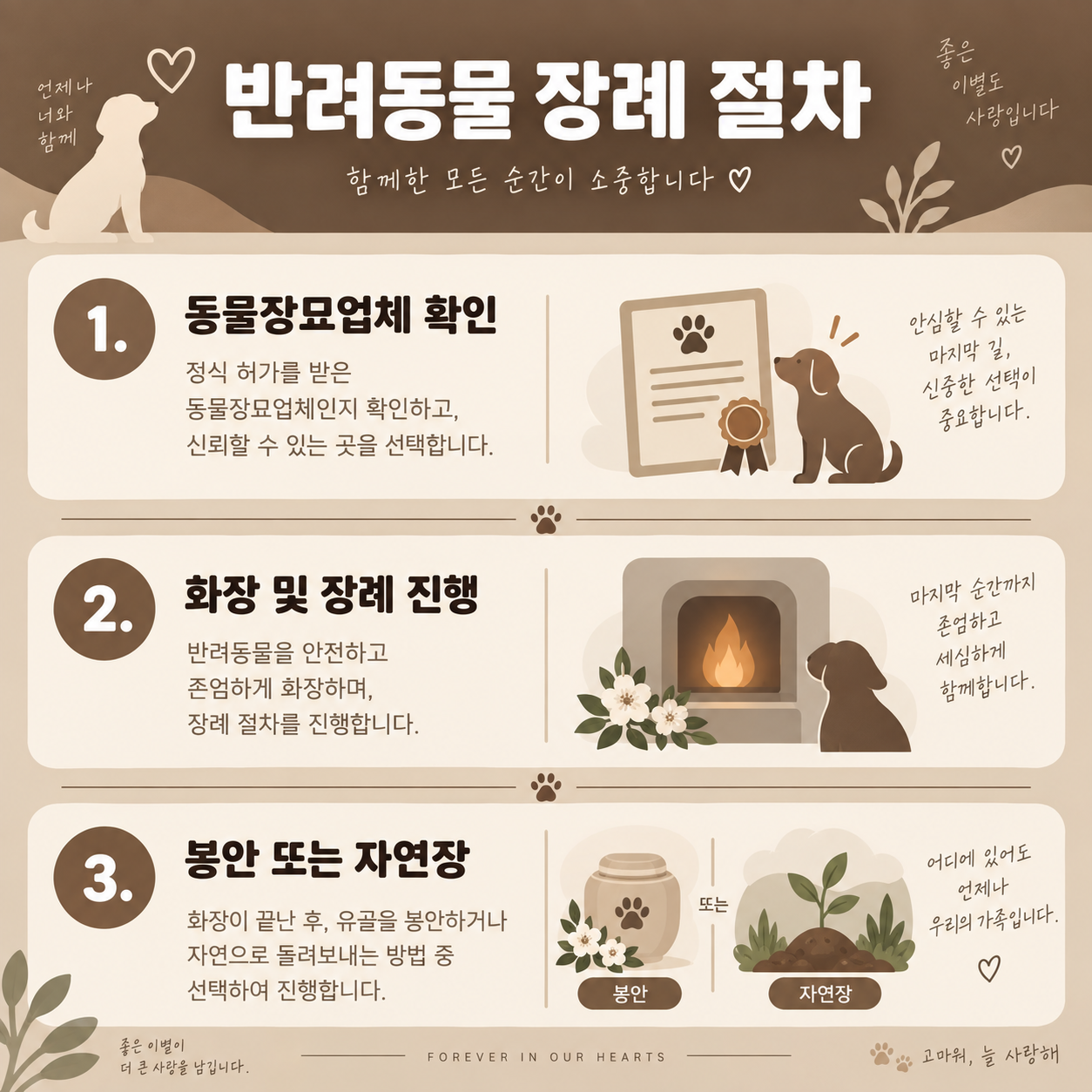 반려동물 장례 절차와 비용, 화장부터 봉안까지 총정리 1 반려동물 장례 절차 3단계를 설명하는 카드뉴스 이미지