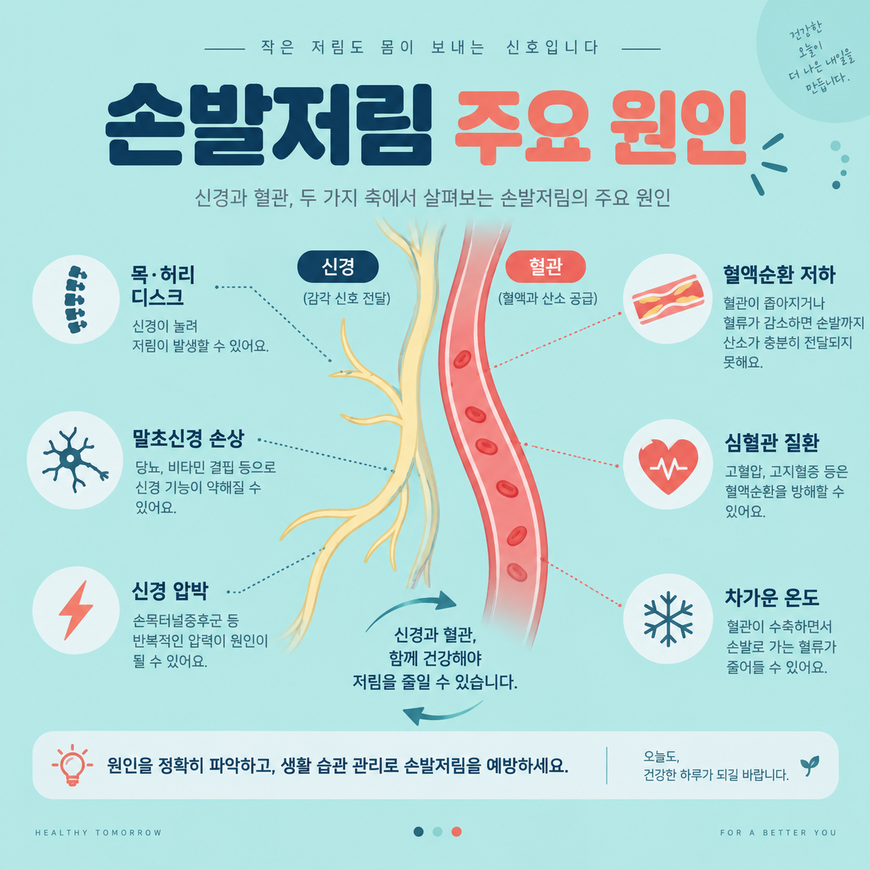 손발저림 원인과 병원가야 하는 시기, 방치하면 위험한 신호들 2 손발저림의 주요 원인을 정리한 카드뉴스 이미지
