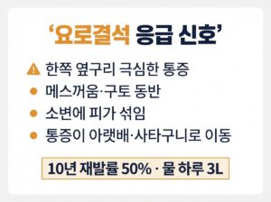 요로결석 증상과 치료, 10년 재발률 50%를 낮추는 방법 2 요로결석 응급 신호 카드뉴스 - 한쪽 옆구리 극심한 통증, 메스꺼움 구토 동반, 소변에 피가 섞임, 통증이 아랫배 사타구니로 이동, 10년 재발률 50%, 물 하루 3L