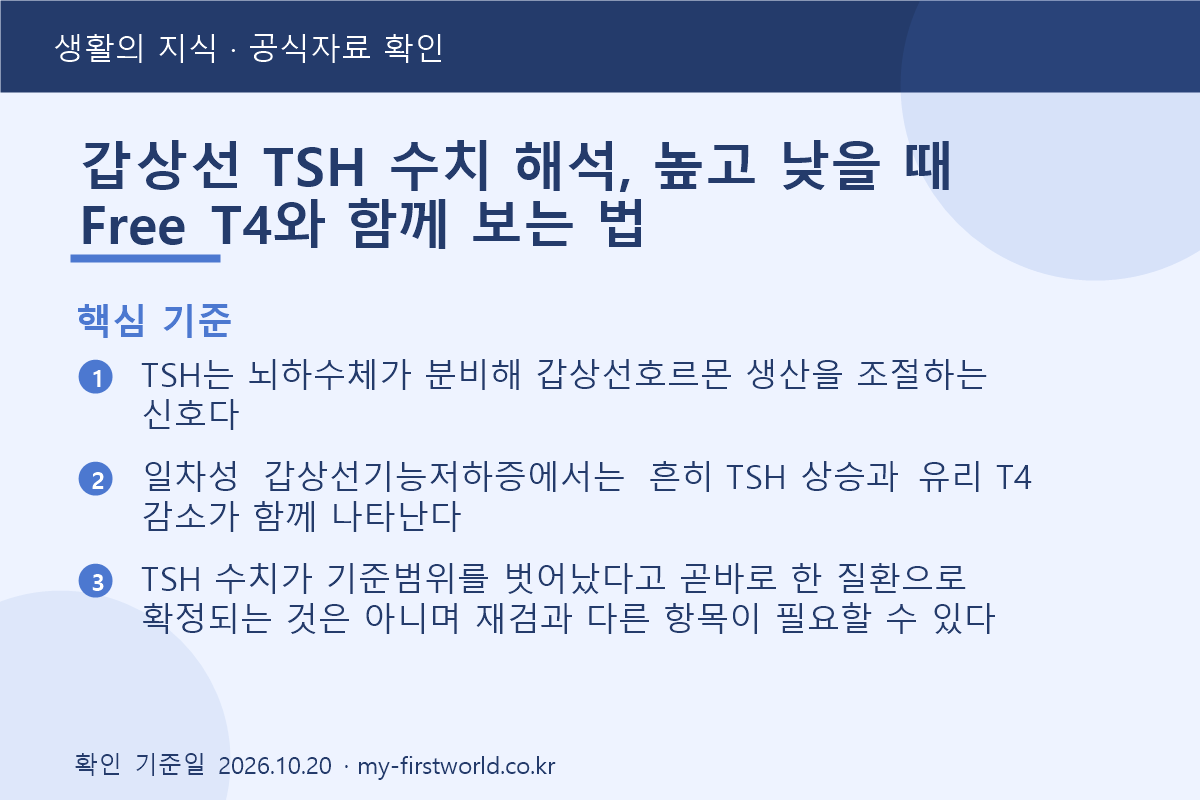 갑상선 TSH 수치 해석, 높고 낮을 때 Free T4와 함께 보는 법 1 갑상선 TSH 수치 해석, 높고 낮을 때 Free T4와 함께 보는 법 - 핵심 기준