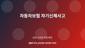 자동차보험 자기신체사고 담보 안내