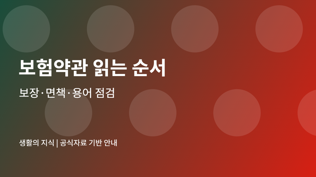 보험약관 읽는 순서 안내 이미지