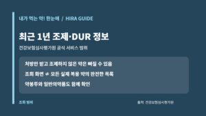 심평원 내가 먹는 약 한눈에 최근 1년 조제·DUR 정보와 누락될 수 있는 처방 사례 카드